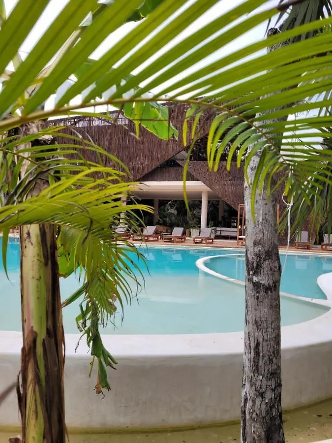 Luxurious Jungle Studio Tulum 0*,  Meksyk